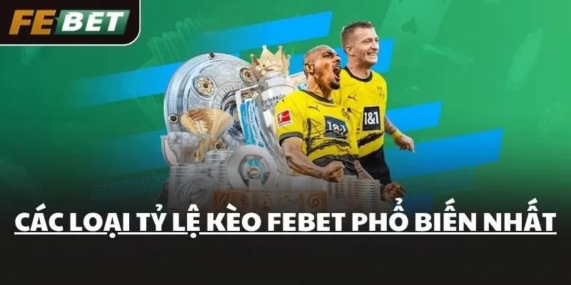 Các loại Tỷ lệ kèo FEBET phổ biến nhất