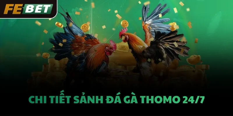Chi tiết sảnh Đá gà Thomo 24/7